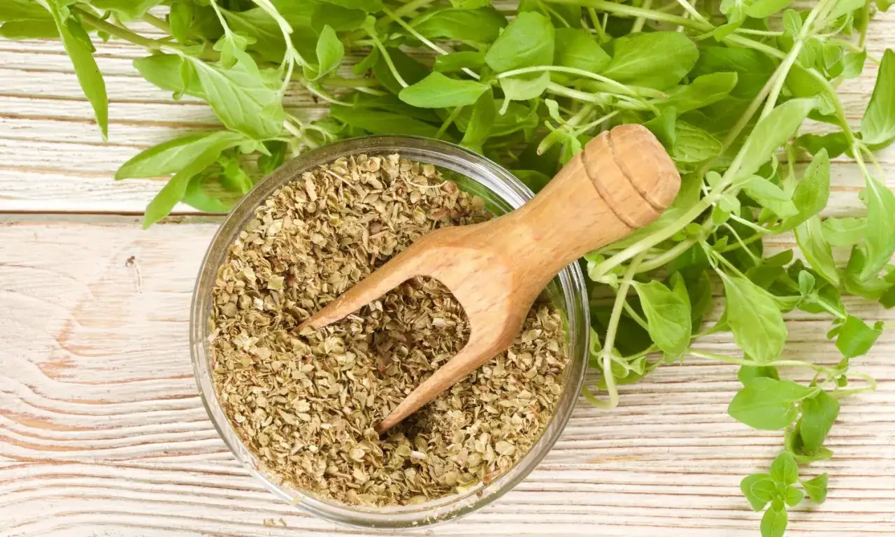 Zdjęcie Świeże oregano do czego pasuje? Odkryj jego najlepsze zastosowania w kuchni